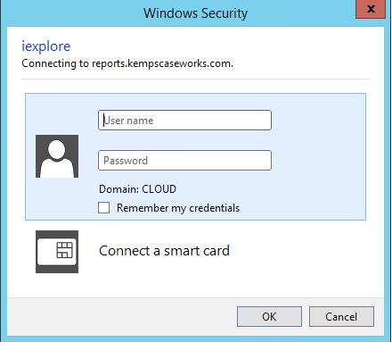 File:ReportBuilder18.png